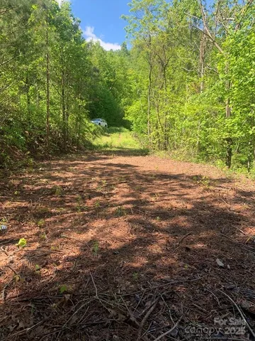 a view of a yard with a tree