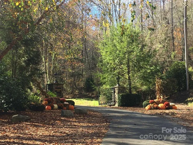 a view of a yard with plants and trees