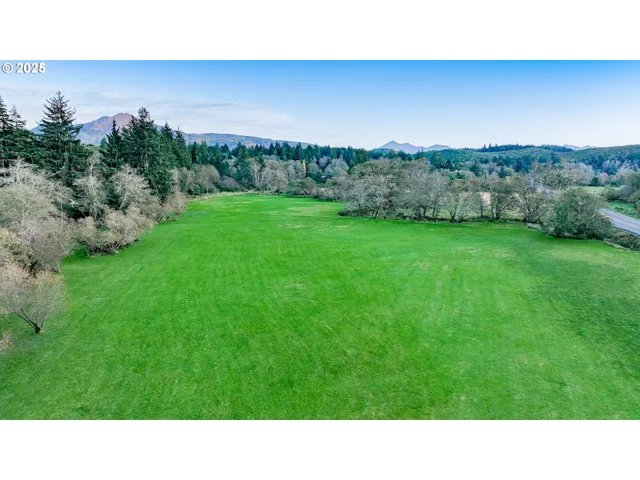 a black and white photo of a park