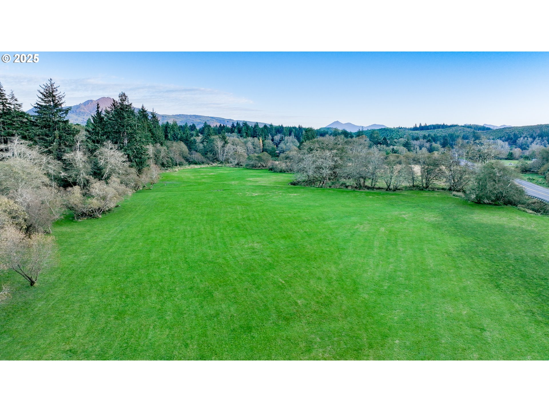 85863 Highway 101 Seaside, OR 97138 - Photo 11 of 23 a black and white photo of a field