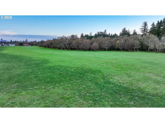 a view of backyard with green space