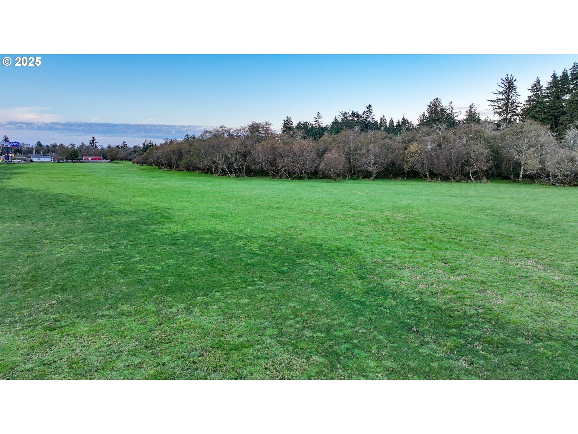 85863 Highway 101 Seaside, OR 97138 - Photo 12 of 23 a black and white photo of a park