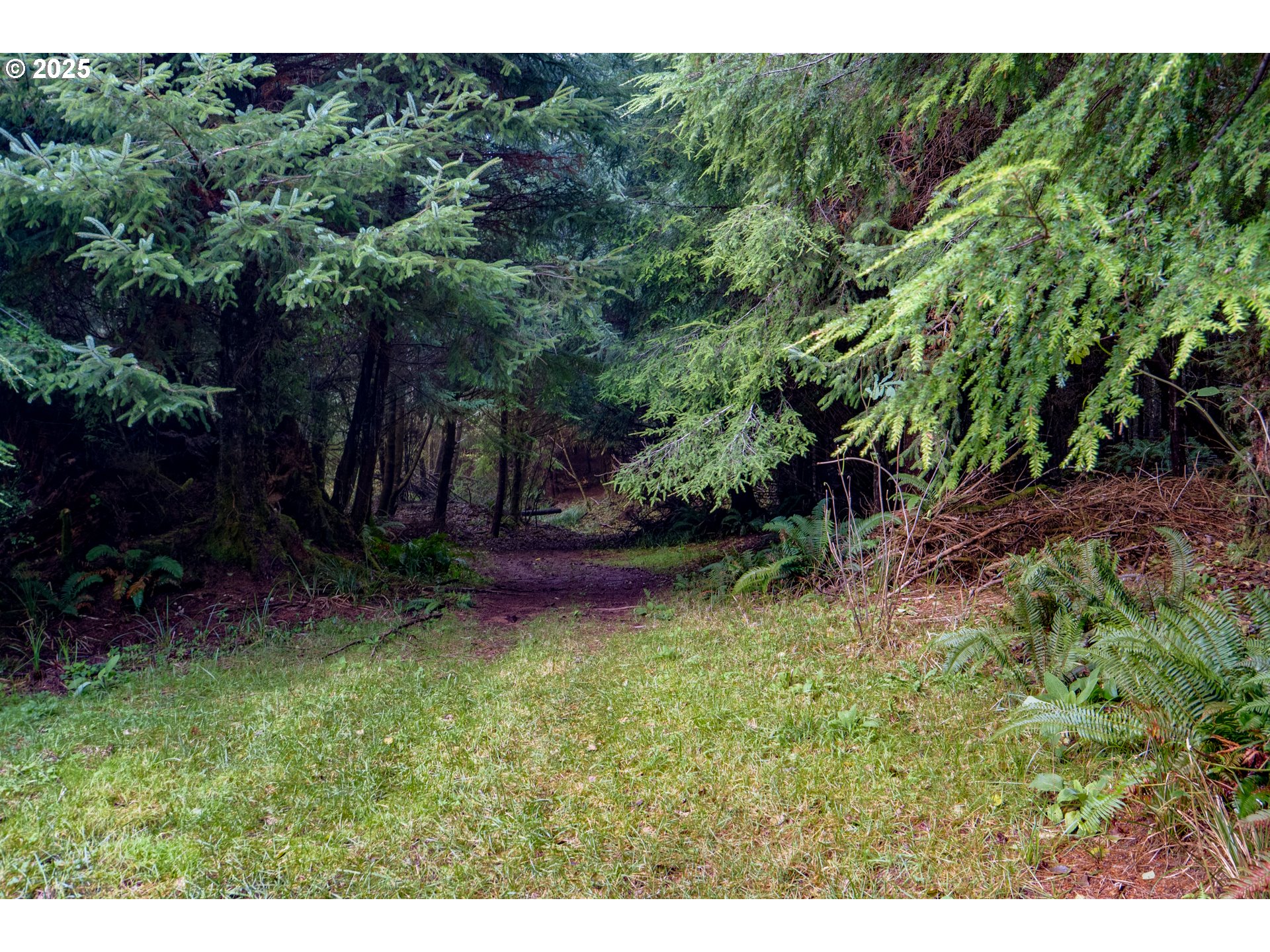 85863 Highway 101 Seaside, OR 97138 - Photo 13 of 23 a view of backyard with green space