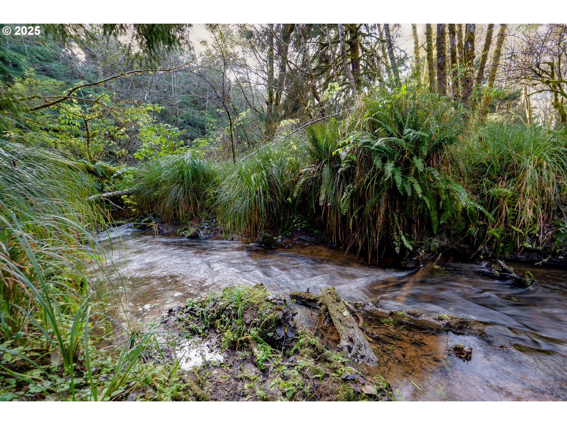 85863 Highway 101 Seaside, OR 97138 - Photo 14 of 23 a view of backyard with outdoor space