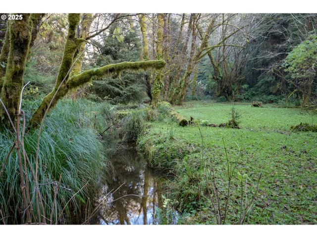 a view of a back yard