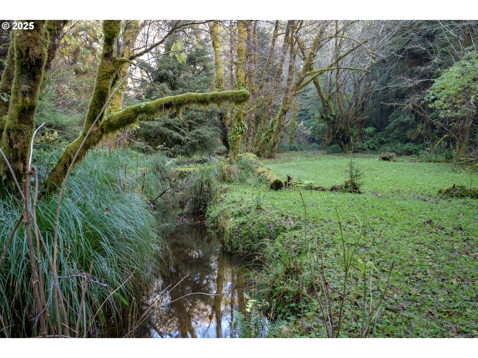 85863 Highway 101 Seaside, OR 97138 - Photo 16 of 23 a view of outdoor space and yard