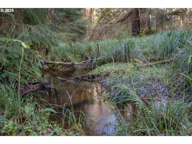 a view of backyard with green space