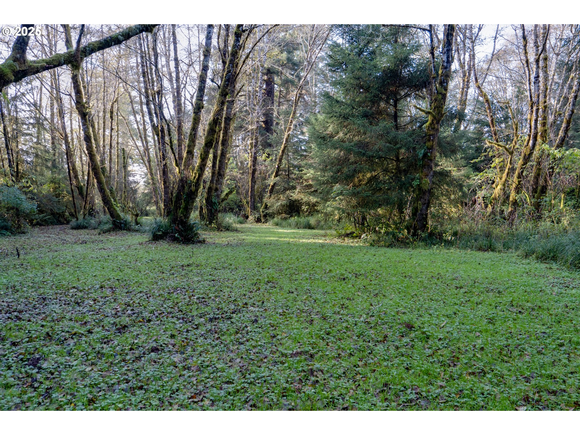 85863 Highway 101 Seaside, OR 97138 - Photo 23 of 23 a view of green field with trees