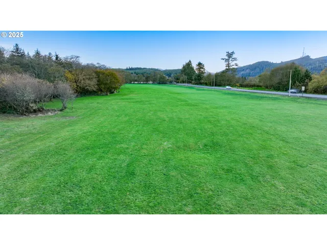 a black and white photo of a field