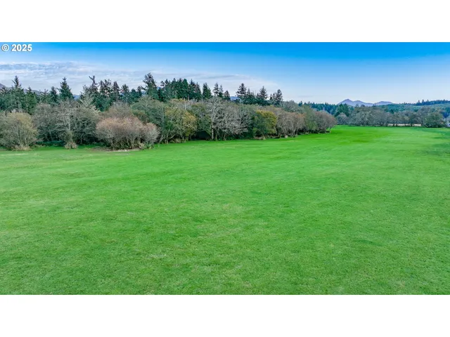 a black and white photo of a field
