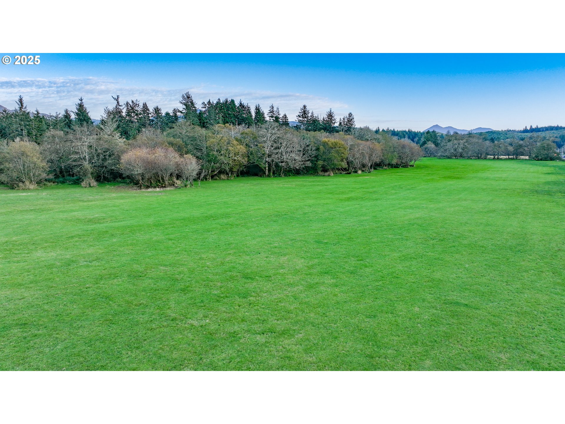 85863 Highway 101 Seaside, OR 97138 - Photo 10 of 23 a black and white photo of a field