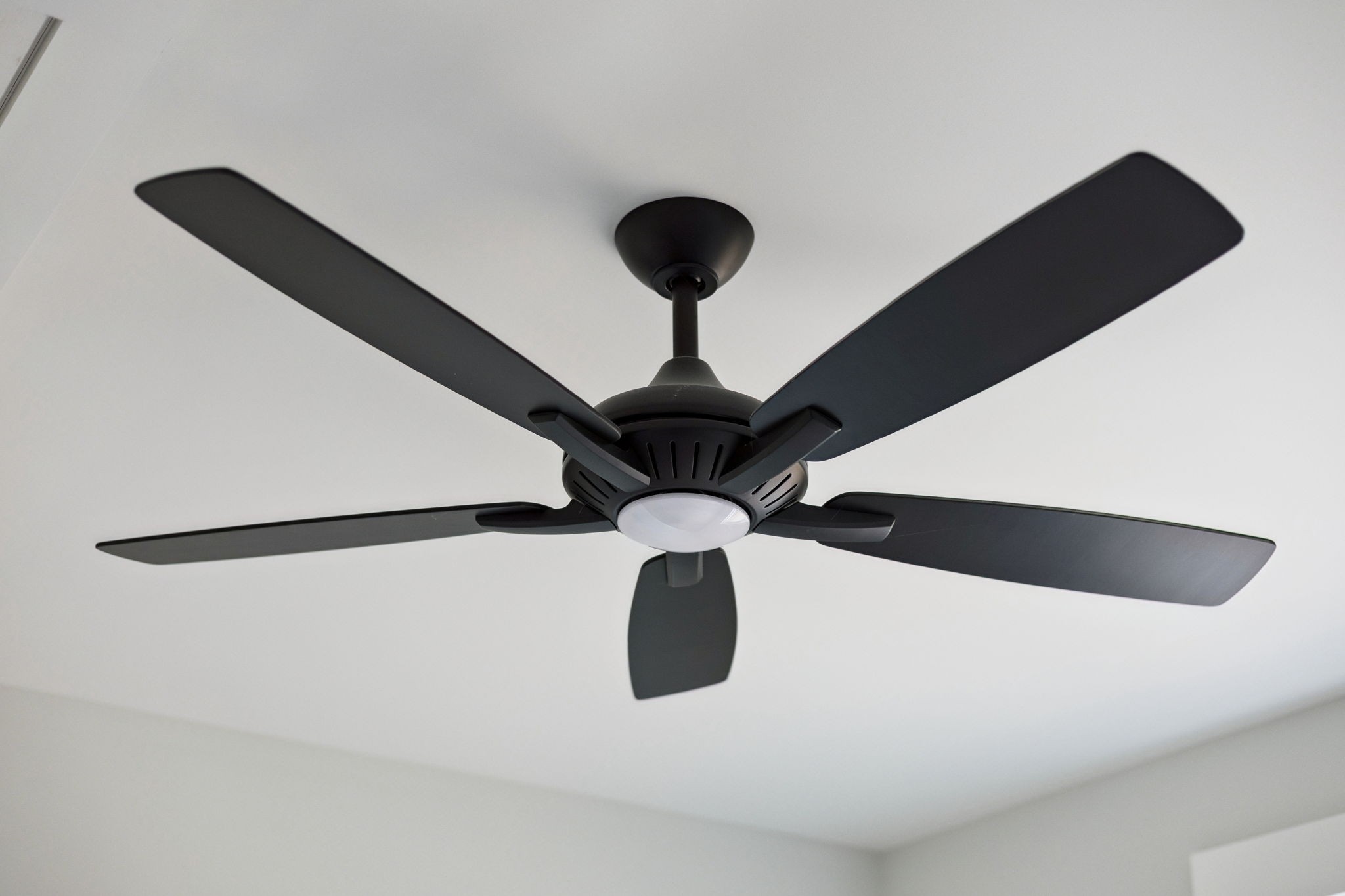 3151 Sulphur Springs Road Clarksville, TN 37043 - Photo 74 of 94