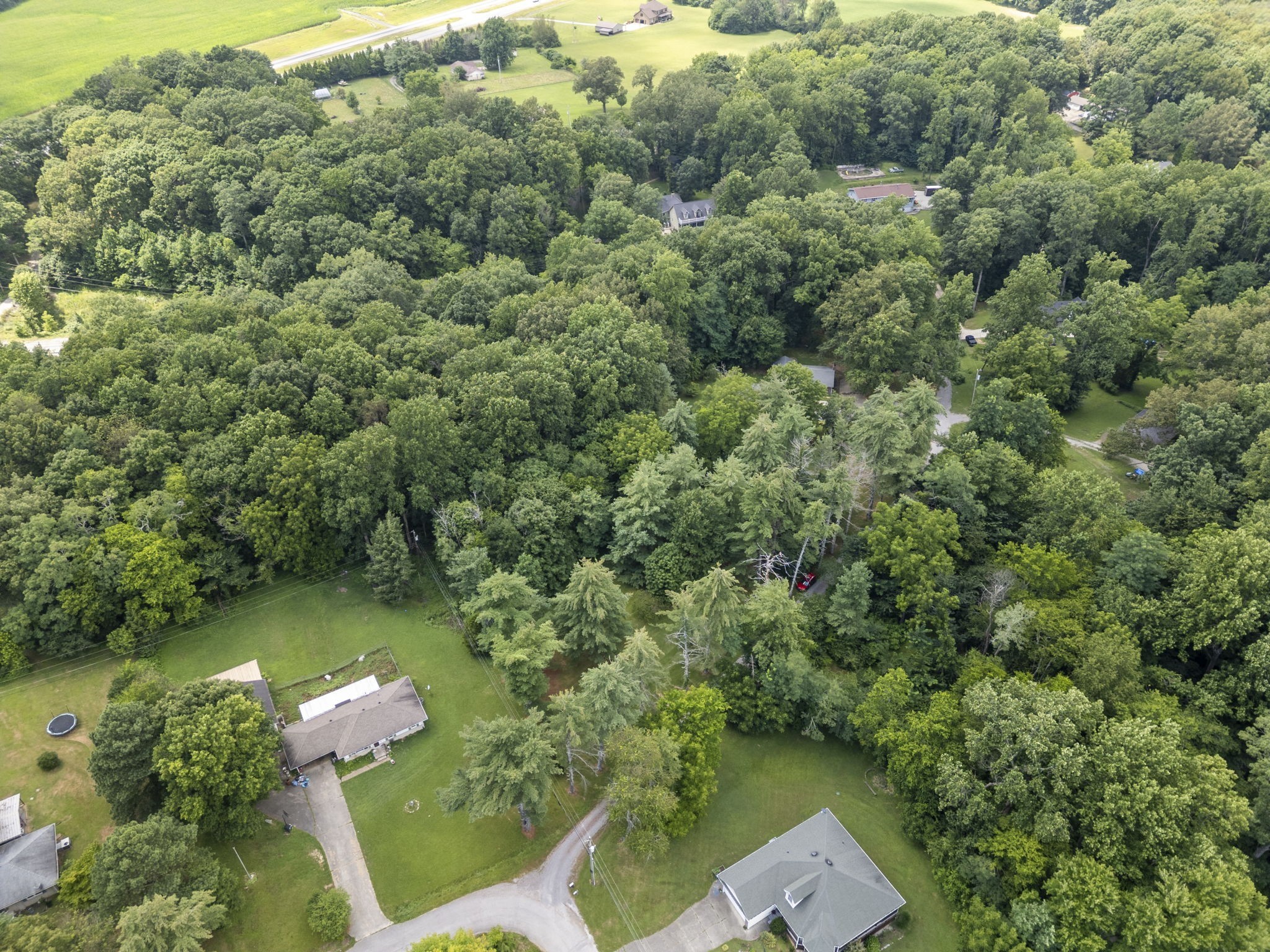 202 Fowler Ford Road Portland, TN 37148 - Photo 42 of 46