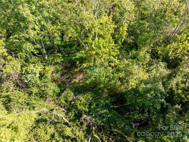 a view of a green field