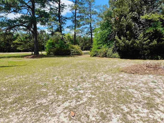 $329,000 | 2573 Martin Luther King Jr Avenue, Kingstree, SC 29556