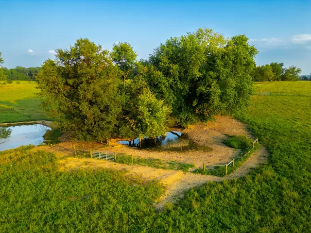 a view of yard with swimming pool and green space