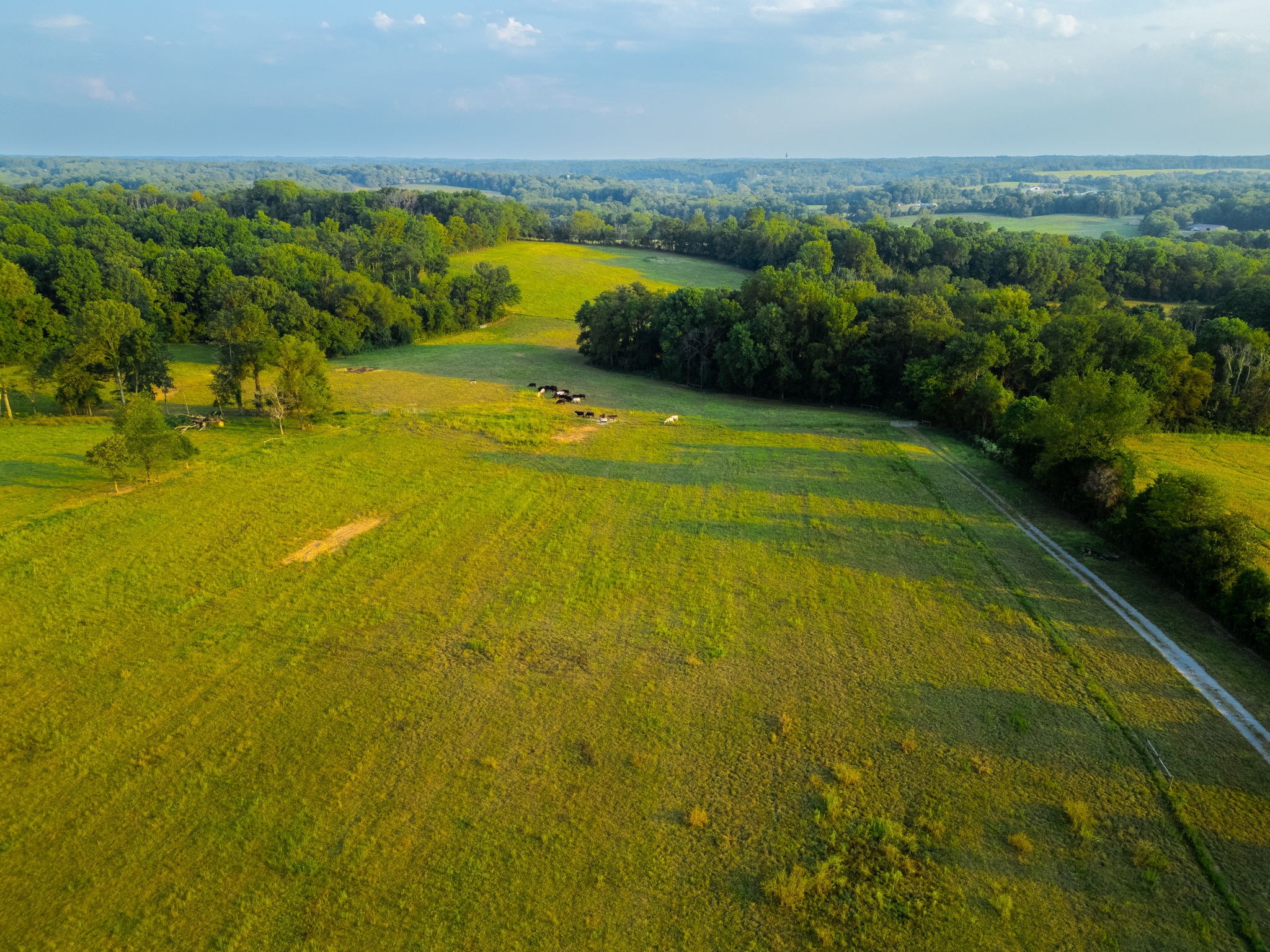 1074 Pair Six Drive Springfield, TN 37172 - Photo 16 of 28 a view of yard with swimming pool and green space