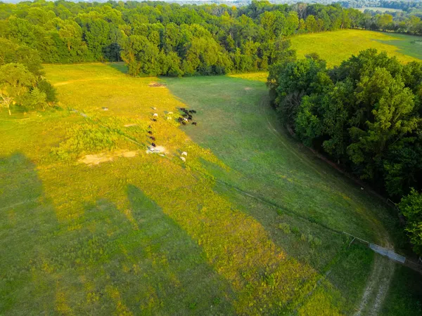 $699,000 | 1074 Pair Six Drive, Springfield, TN 37172