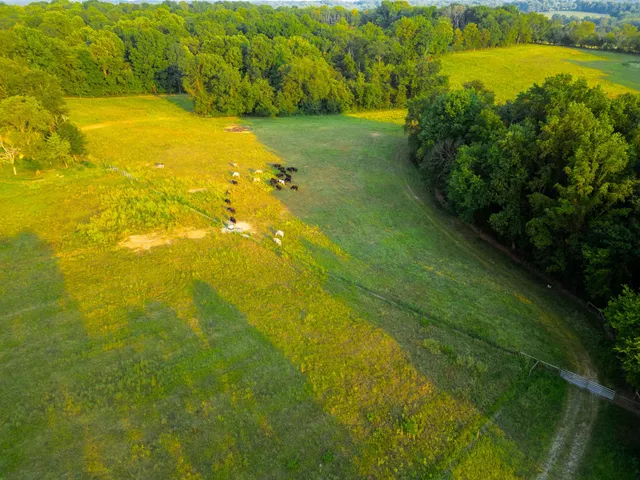 a view of a lake with a big yard