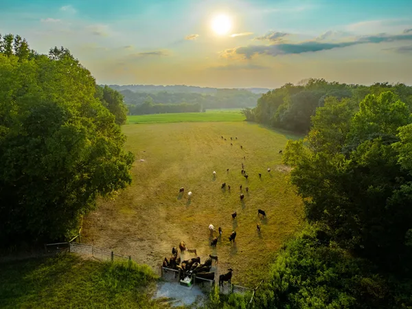 $699,000 | 1074 Pair Six Drive, Springfield, TN 37172