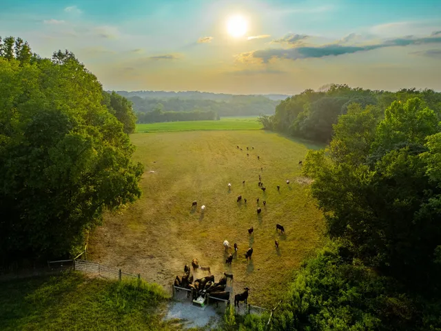 a view of an ocean from a building