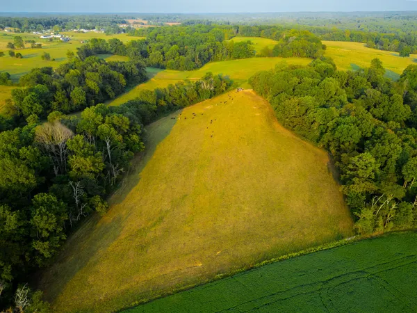 $699,000 | 1074 Pair Six Drive, Springfield, TN 37172