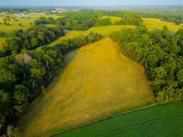 a view of an ocean from a balcony
