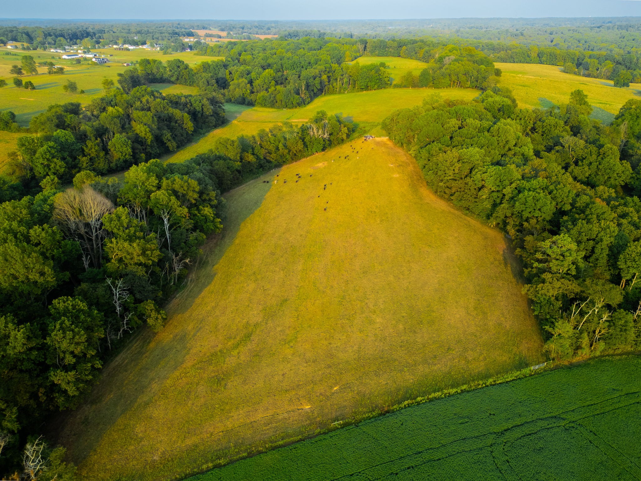 1074 Pair Six Drive Springfield, TN 37172 - Photo 23 of 28 a view of beach and ocean view