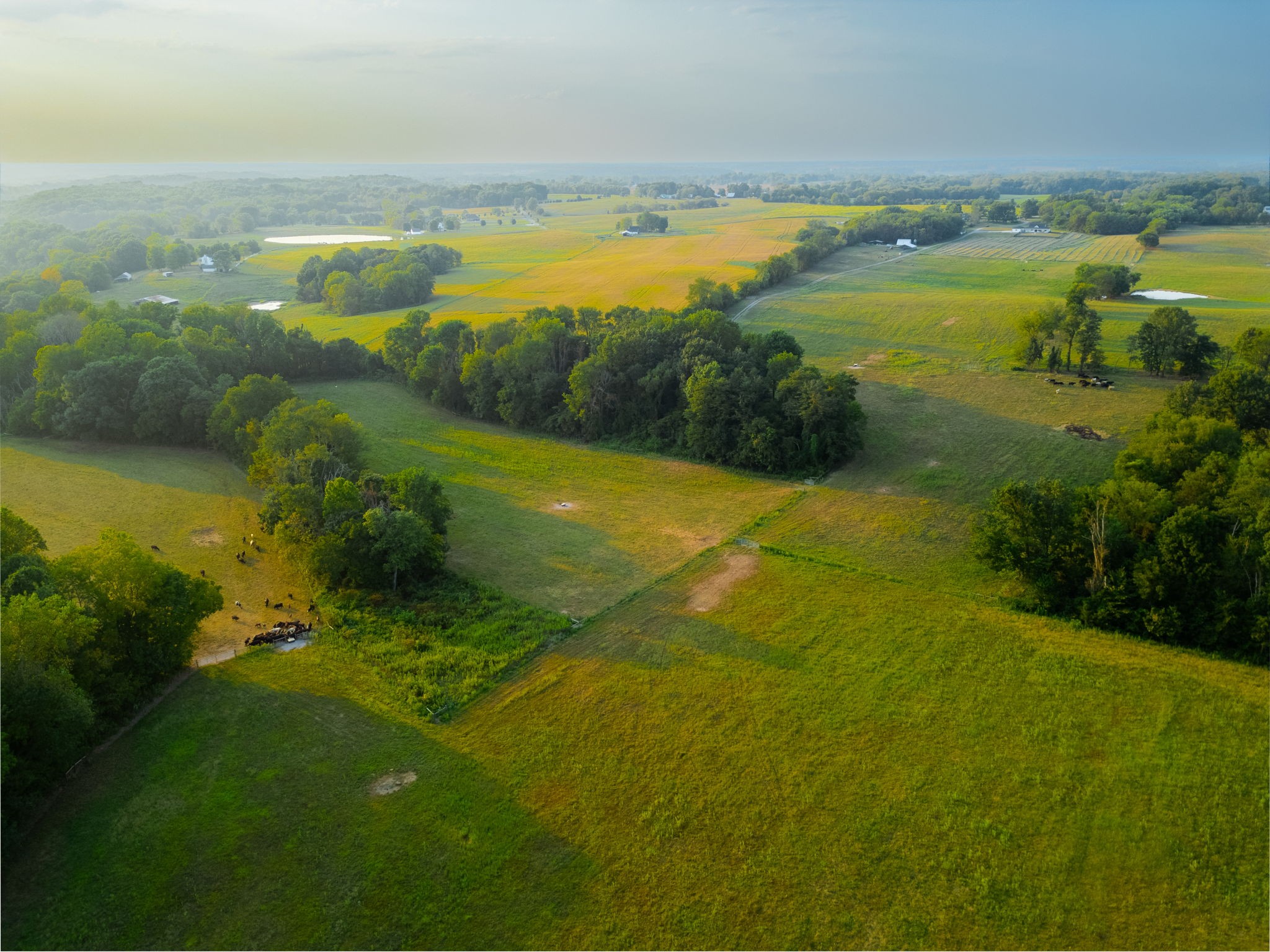 1074 Pair Six Drive Springfield, TN 37172 - Photo 27 of 28 a view of an ocean from a building