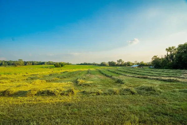 $699,000 | 1074 Pair Six Drive, Springfield, TN 37172