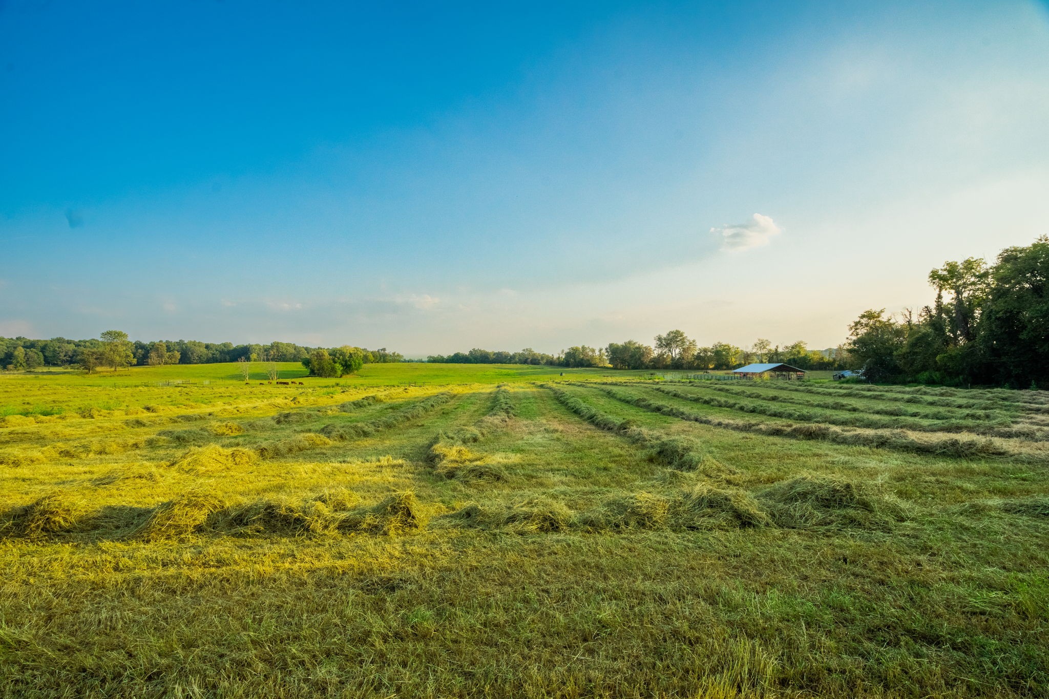 1074 Pair Six Drive Springfield, TN 37172 - Photo 6 of 28 a view of an ocean