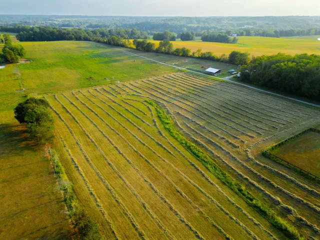 a view of an outdoor space and swimming pool