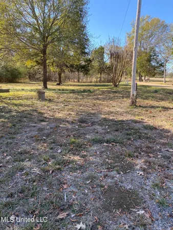 $400,000 | 0 Smith-Carr Road, Canton, MS 39046