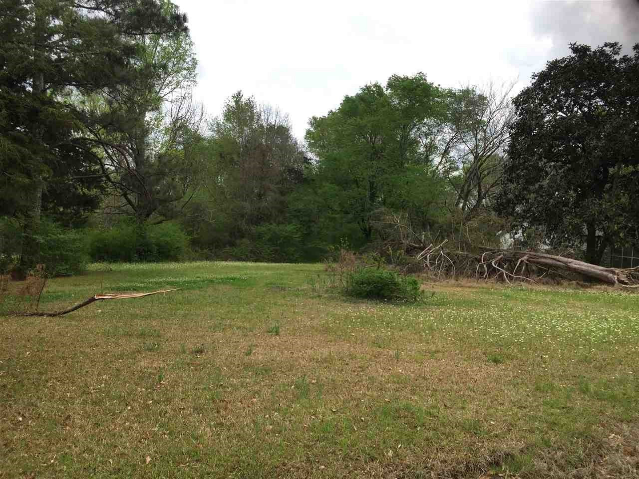 0 Smith-Carr Road Canton, MS 39046 - Photo 6 of 7 Photo 1