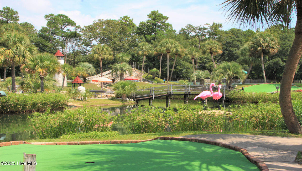 3020 Tasso Drive Southwest, Unit LOT 5 DOWNING B Sunset Beach, NC 28468 - Photo 23 of 31 Calabash Lakes Area-02