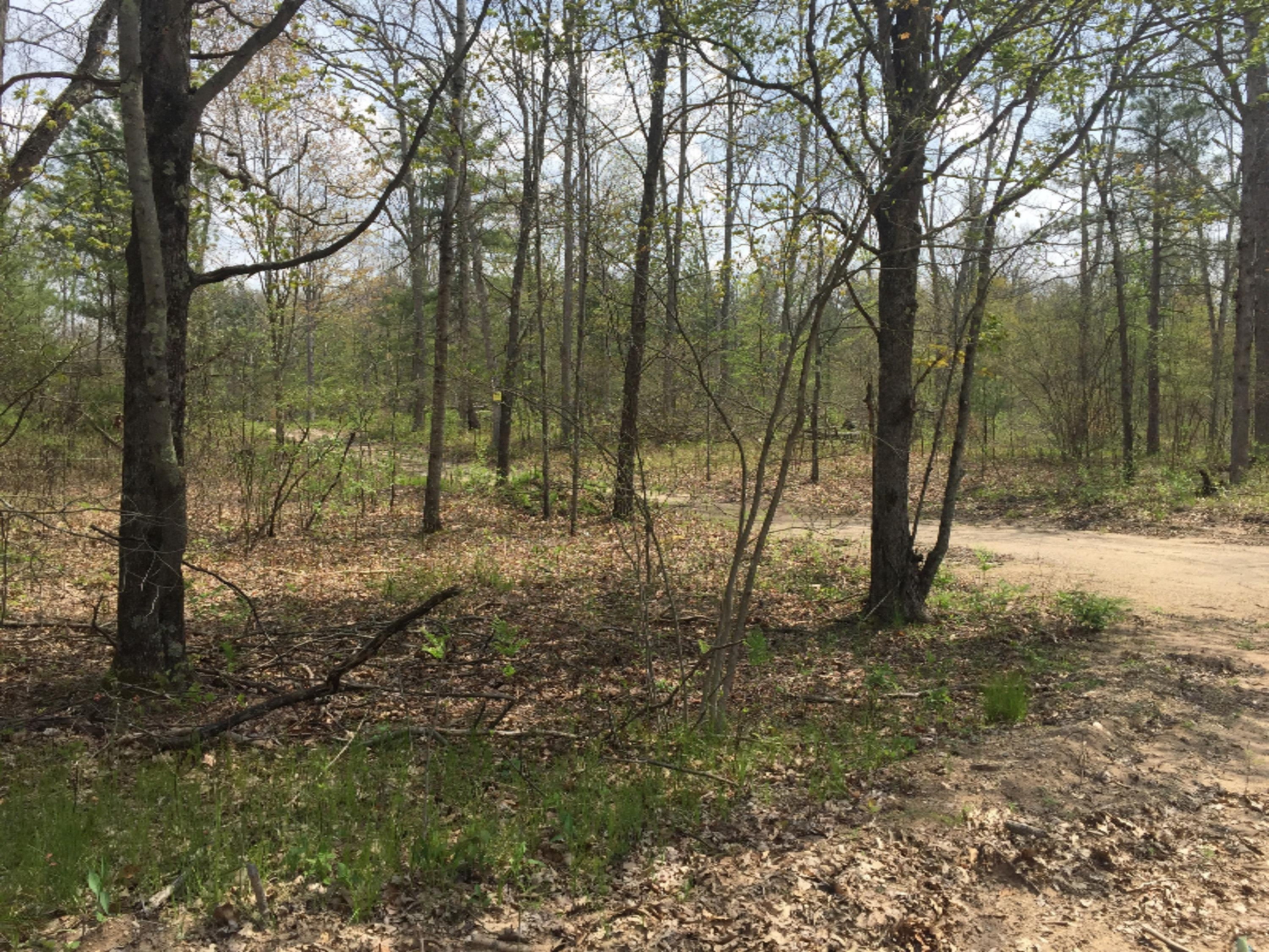 0 128th Avenue Rothbury, MI 49452 - Photo 1 of 3 file1-1