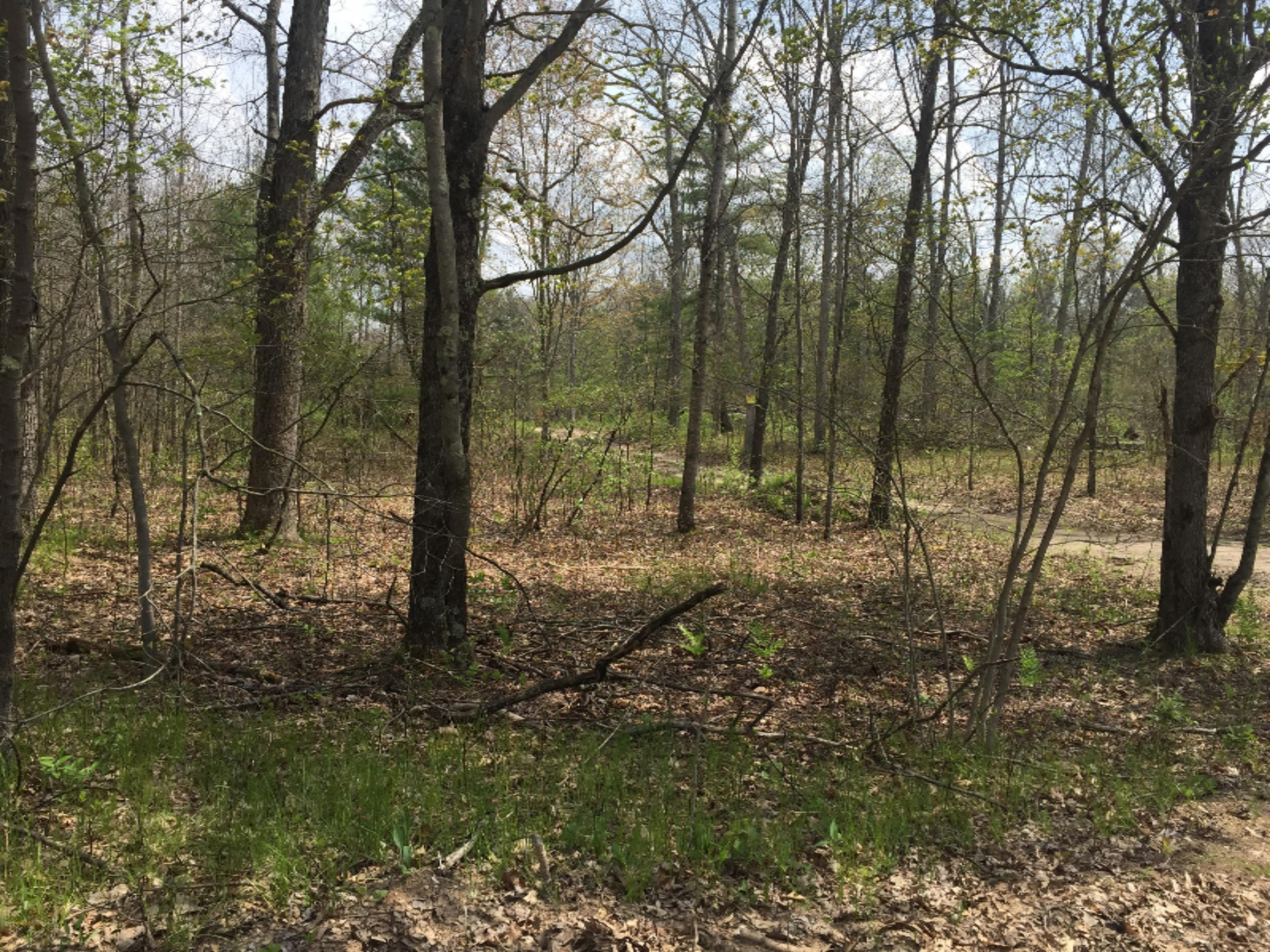 0 128th Avenue Rothbury, MI 49452 - Photo 2 of 3 file2-1