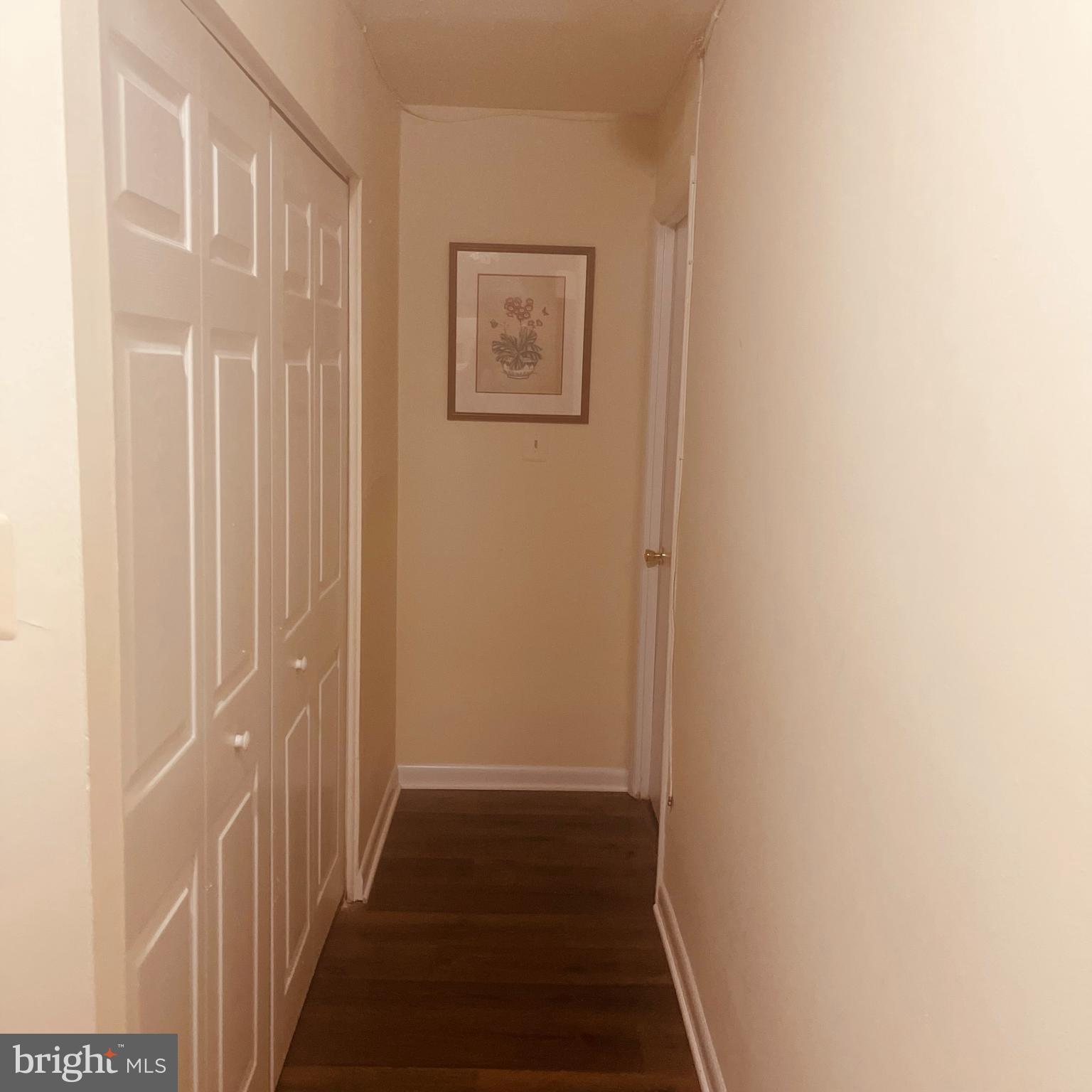 8830 Piney Branch Road, Unit 207 Silver Spring, MD 20903 - Photo 7 of 12 Hallway