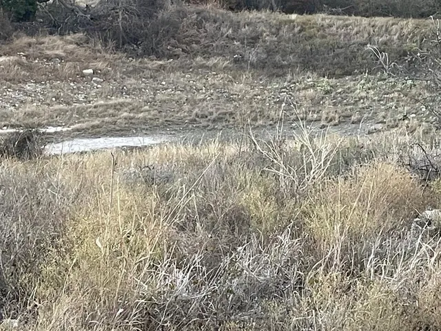 $196,500 | 29 Indian Springs, Hamilton, TX 76531