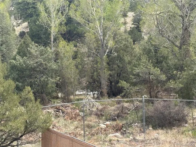 a view of a backyard with a large tree