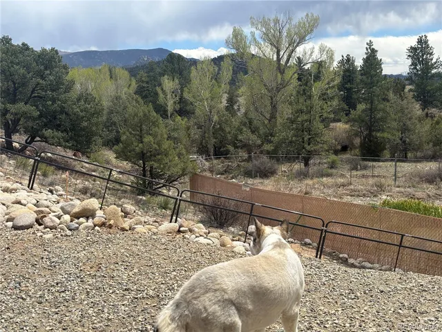 a backyard of a house with large trees and barbeque oven