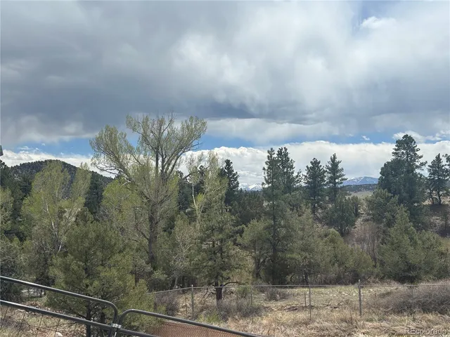 a view of a backyard with large trees