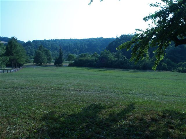 1545 River Ridge Road Southeast Floyd, VA 24091 - Photo 5 of 16 a view of a grassy field