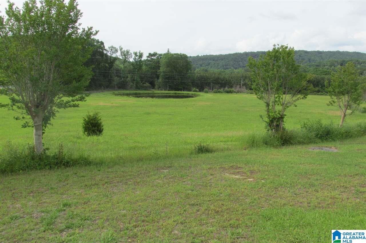 1240 Covered Bridge Circle Oneonta, AL 35121 - Photo 23 of 23