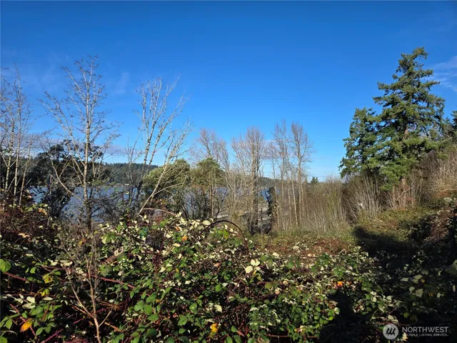 a view of a yard with a house in the background