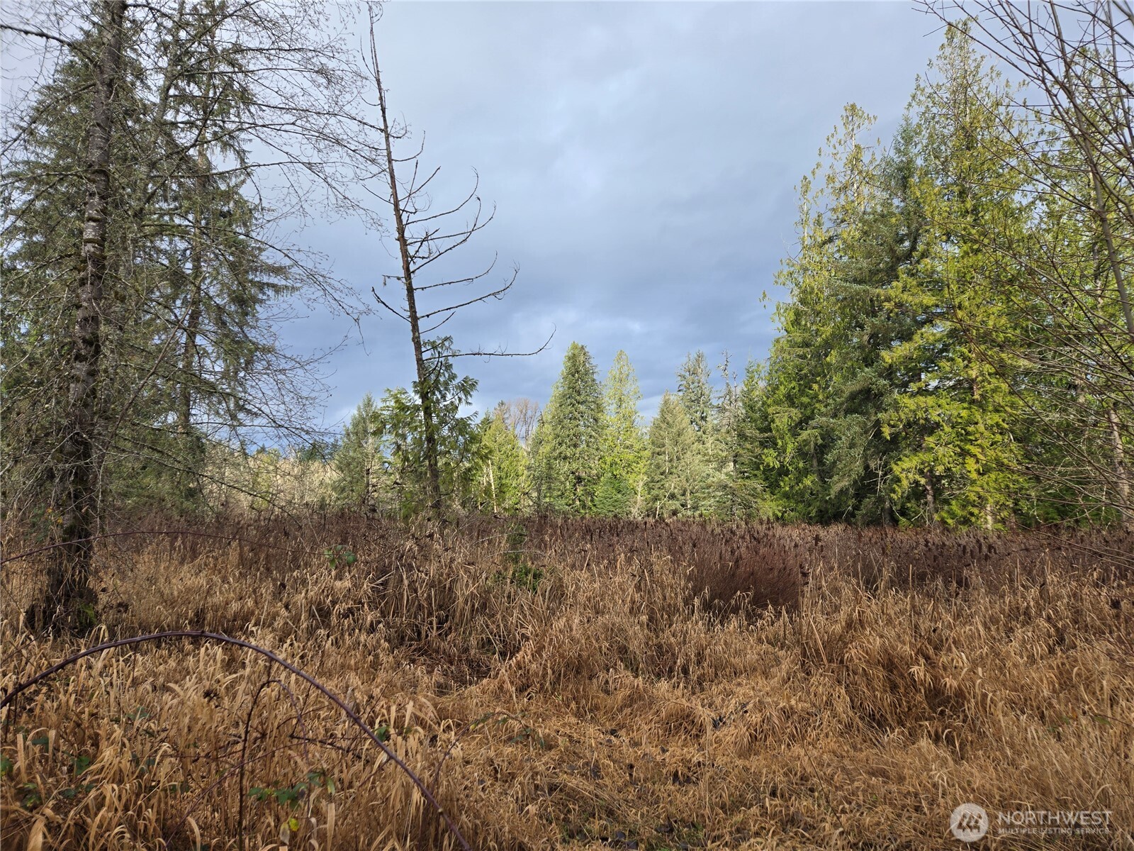 2121 Creswell Road Snohomish, WA 98290 - Photo 12 of 21 a backyard of a house with lots of green space