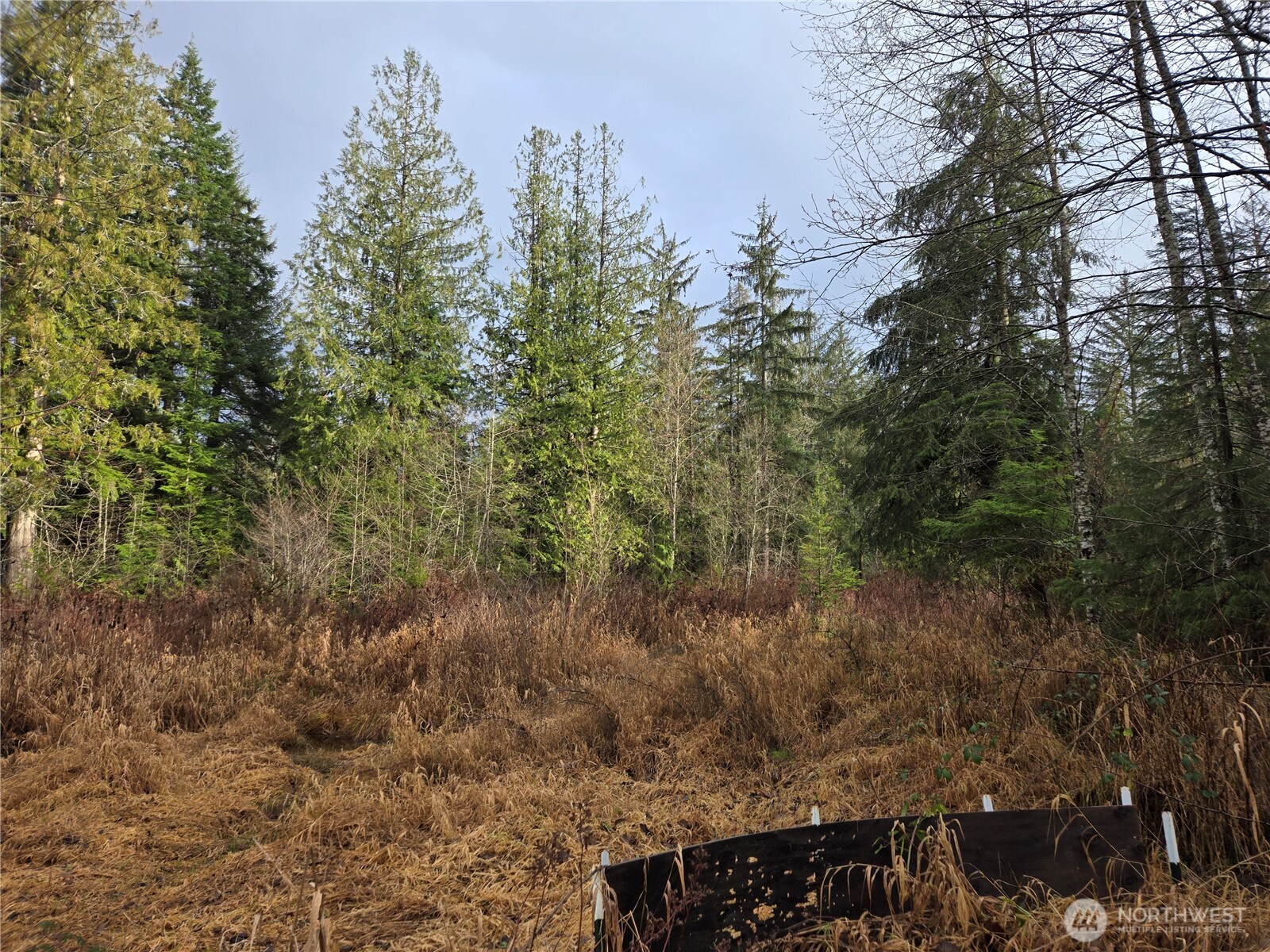 2121 Creswell Road Snohomish, WA 98290 - Photo 14 of 21 a view of a yard with trees