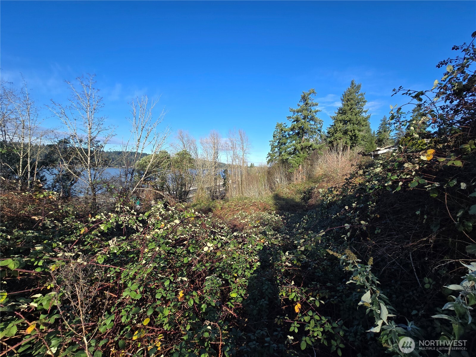 2121 Creswell Road Snohomish, WA 98290 - Photo 2 of 21 a view of a lake