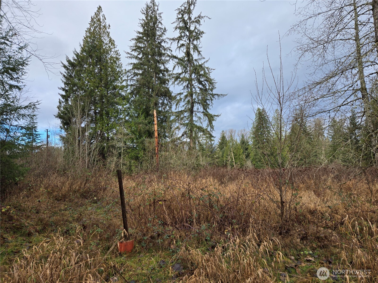 2121 Creswell Road Snohomish, WA 98290 - Photo 5 of 21 a view of a yard