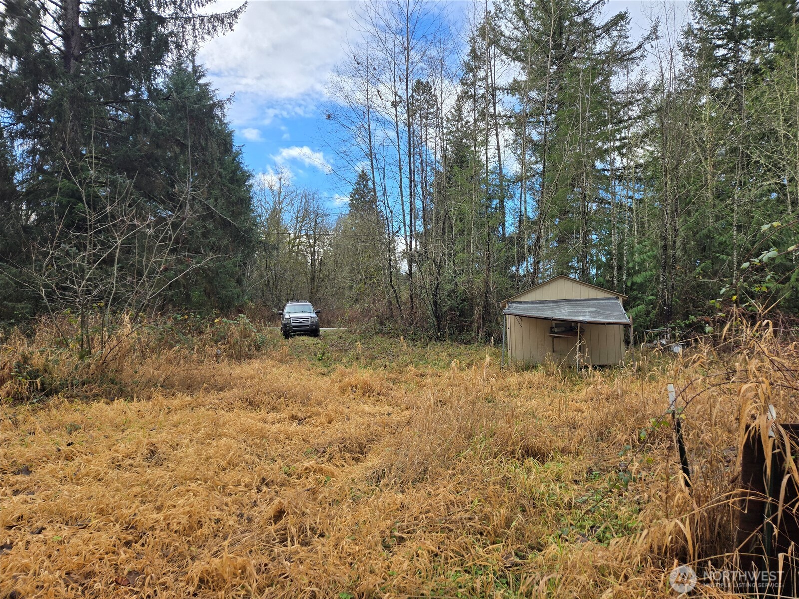 2121 Creswell Road Snohomish, WA 98290 - Photo 8 of 21 a backyard of a house with lots of green space